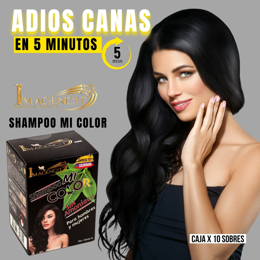 SHAMPOO CUBRE CANAS